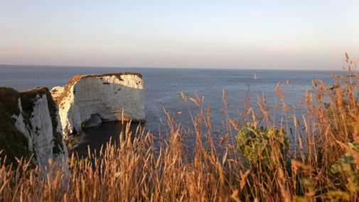 View of the white clifftop at Old Harry Rocks, near Studland, part of the Purbeck Countryside, Dorset with sea in the background
